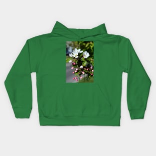 Crabapple Flowers Kids Hoodie